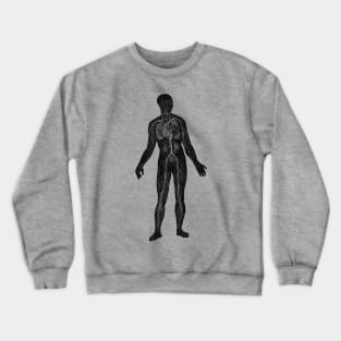 Lymphatic and Circulatory System - Vintage Anatomy Crewneck Sweatshirt